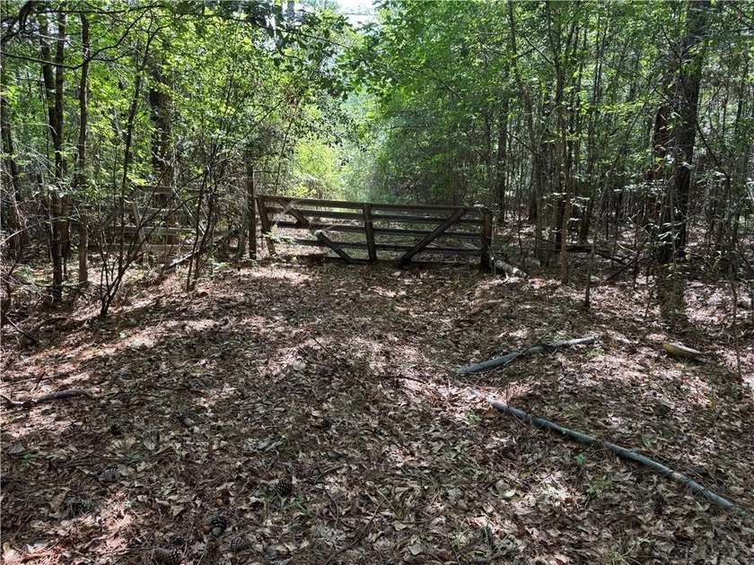 Opportunities to acquire a contiguous 50-acre tract of - photo 8