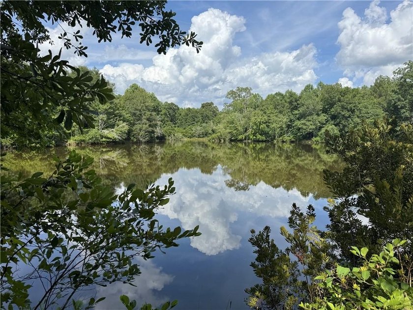 Opportunities to acquire a contiguous 50-acre tract of - photo 9