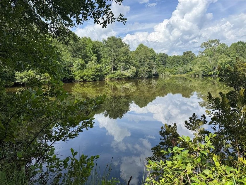 Opportunities to acquire a contiguous 50-acre tract of - photo 10