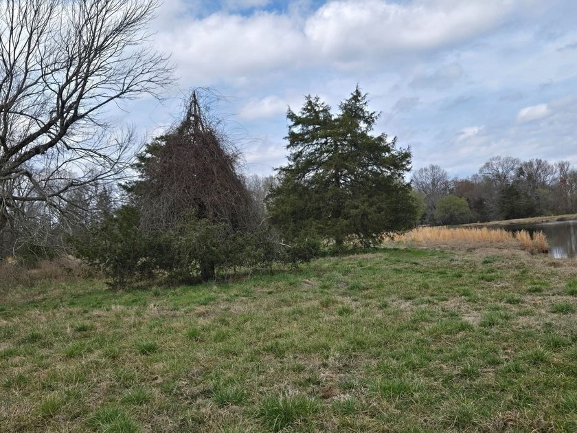 Caney Creek Rd - photo 4