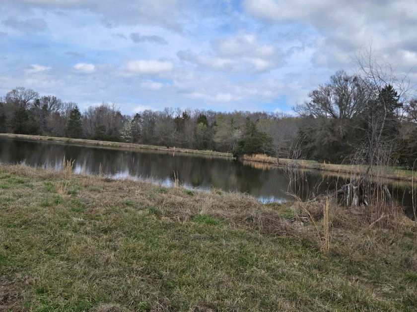 Caney Creek Rd - photo 5