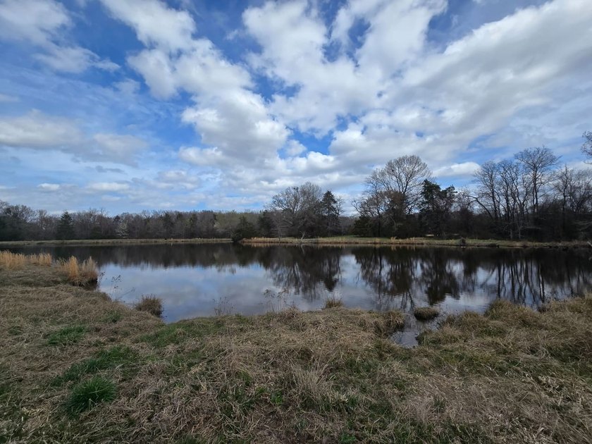 Caney Creek Rd - photo 6