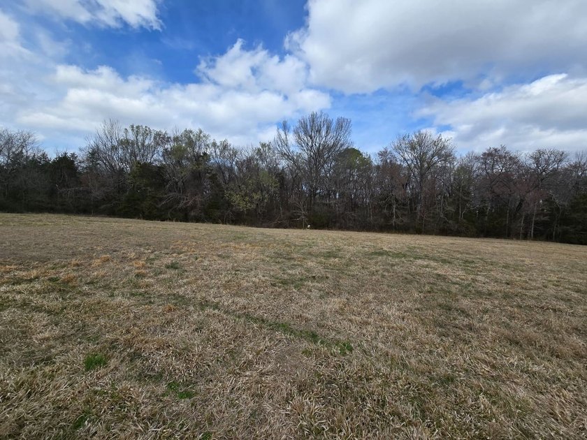 Caney Creek Rd - photo 8