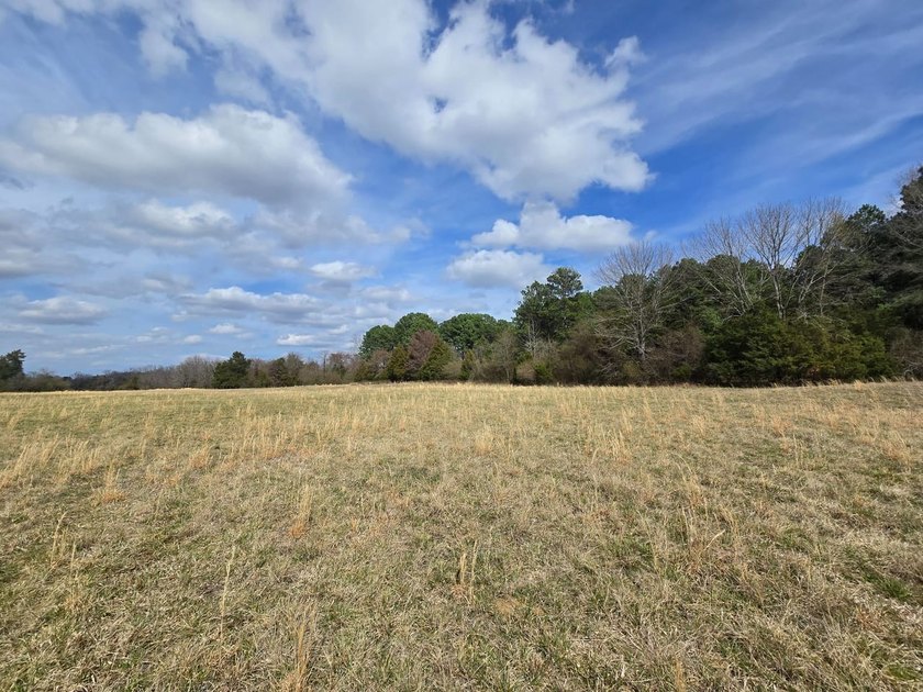 Caney Creek Rd - photo 9