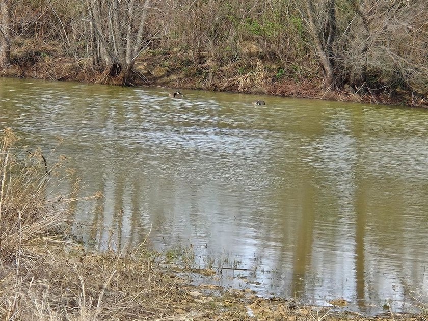 Caney Creek Rd - photo 10
