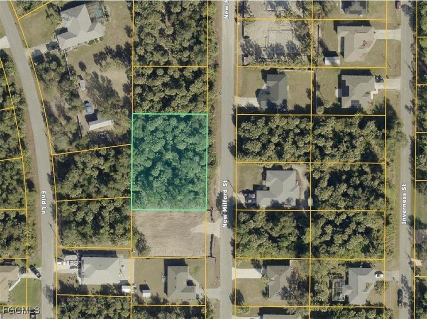 Double lot!!! Flood zone X! No HOAs with fees or deed - photo 2