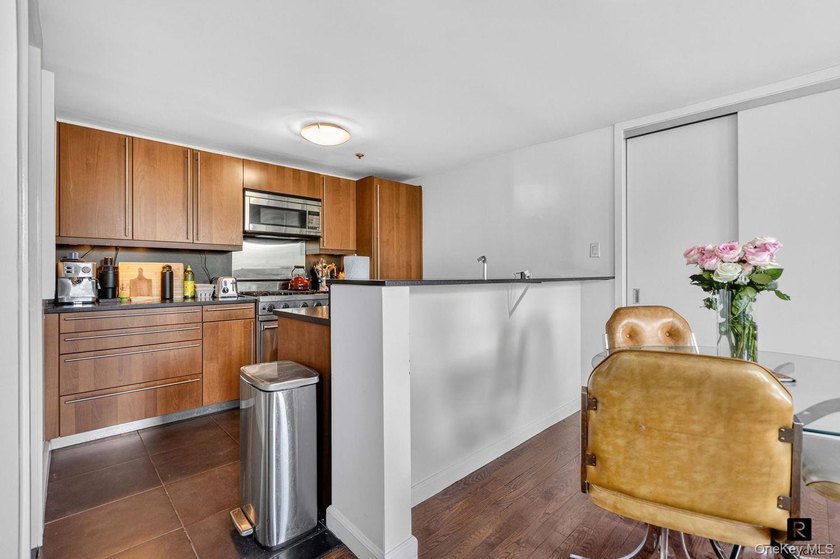 Park View Alert! Rarely available south facing duplex - photo 6