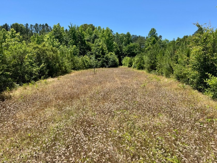 If you're looking for a ready-to-hunt, easy-to-enjoy property in - photo 33