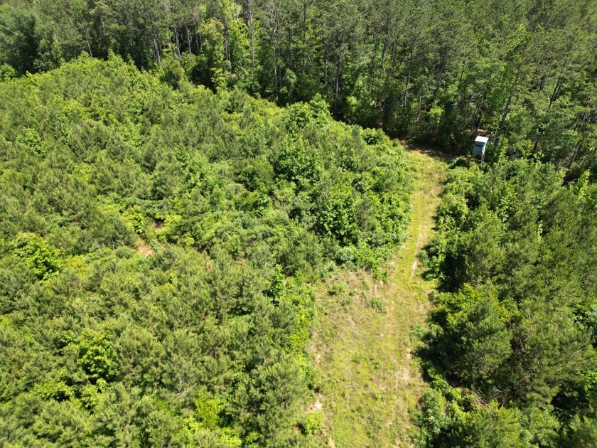 If you're looking for a ready-to-hunt, easy-to-enjoy property in - photo 34