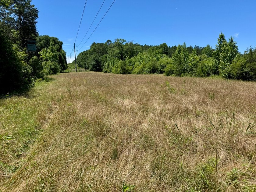 If you're looking for a ready-to-hunt, easy-to-enjoy property in - photo 37