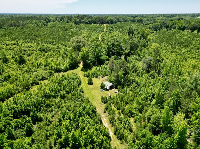 If you're looking for a ready-to-hunt, easy-to-enjoy property in - photo 42