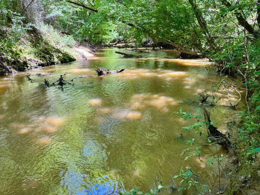 If you're looking for a ready-to-hunt, easy-to-enjoy property in - photo 44