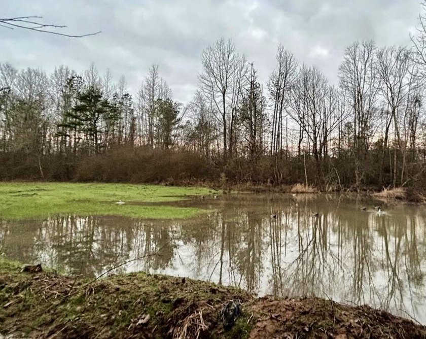 If you're looking for a ready-to-hunt, easy-to-enjoy property in - photo 45