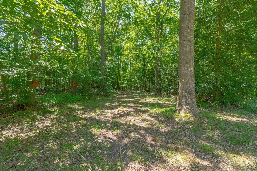Nestled in the rustic and highly sought-after Knights Run area - photo 46