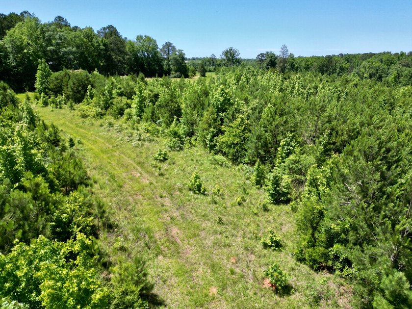 If you're looking for a ready-to-hunt, easy-to-enjoy property in - photo 49