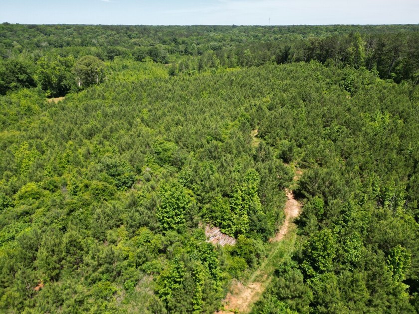If you're looking for a ready-to-hunt, easy-to-enjoy property in - photo 50