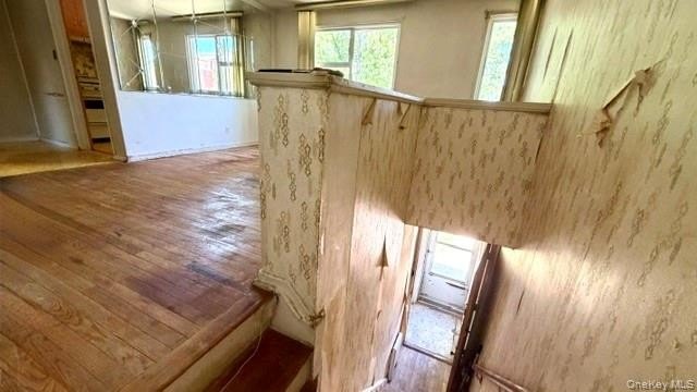 1 Bedroom - Upper Corner unt , facing to South &amp; Northern - photo 6