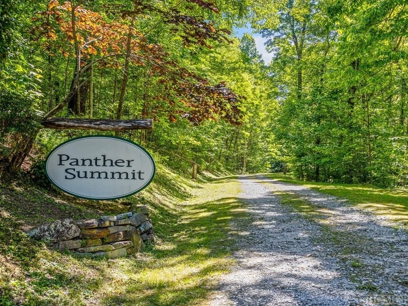 Lot PS 3 spans 4.15 acres, offering plenty of privacy atop - photo 2