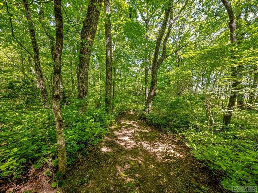 Lot PS 3 spans 4.15 acres, offering plenty of privacy atop - photo 4