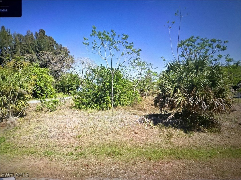 This corner lot offers ample space and flexibility for building - photo 3