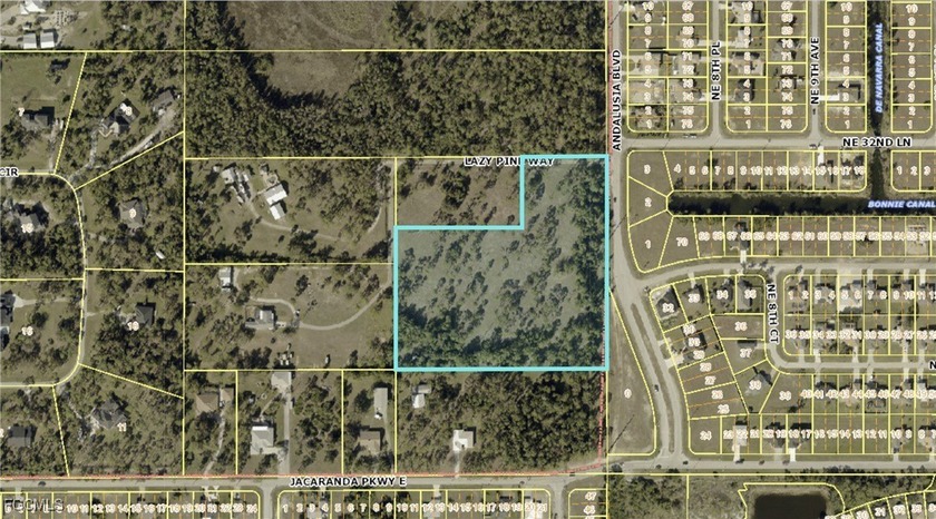 WHAT A BARGAIN! Rare find in Cape Coral in the Unincorporated - photo 2