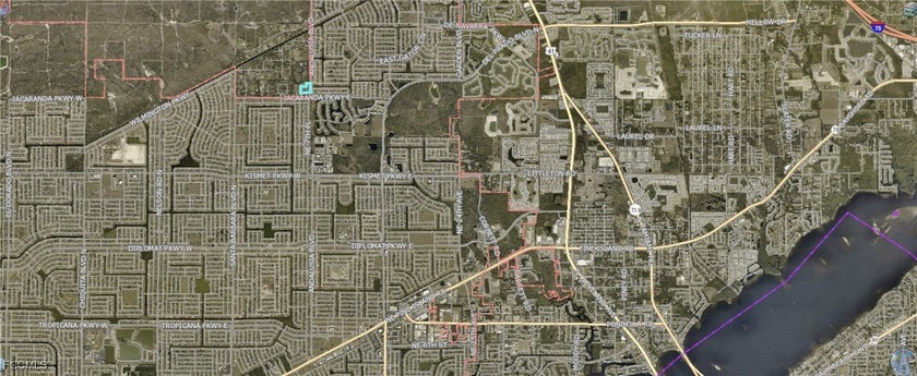 WHAT A BARGAIN! Rare find in Cape Coral in the Unincorporated - photo 3