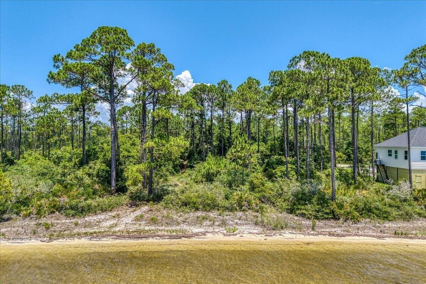 Build your dream waterfront retreat on this beautiful homesite - photo 5