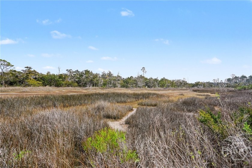 Experience breathtaking views of the Franklin Creek tidal marsh - photo 43