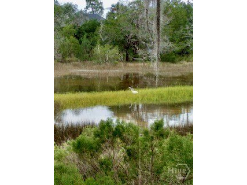 Experience breathtaking views of the Franklin Creek tidal marsh - photo 47