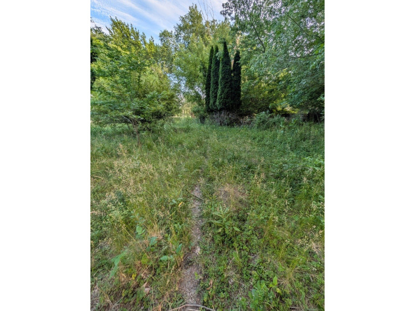 Ready to build your dream home?! Great Vacant Land is just - photo 8