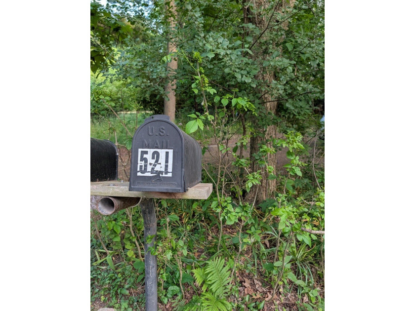 Ready to build your dream home?! Great Vacant Land is just - photo 9