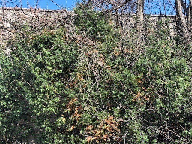 The property is used and has been used for years as an - photo 15