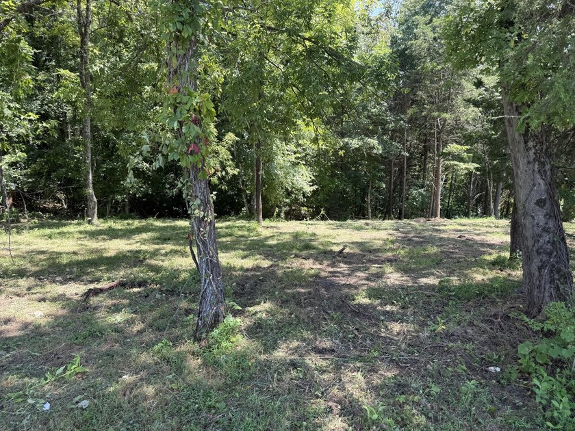 Lot 175 - Discover your dream property in the prestigious - photo 3