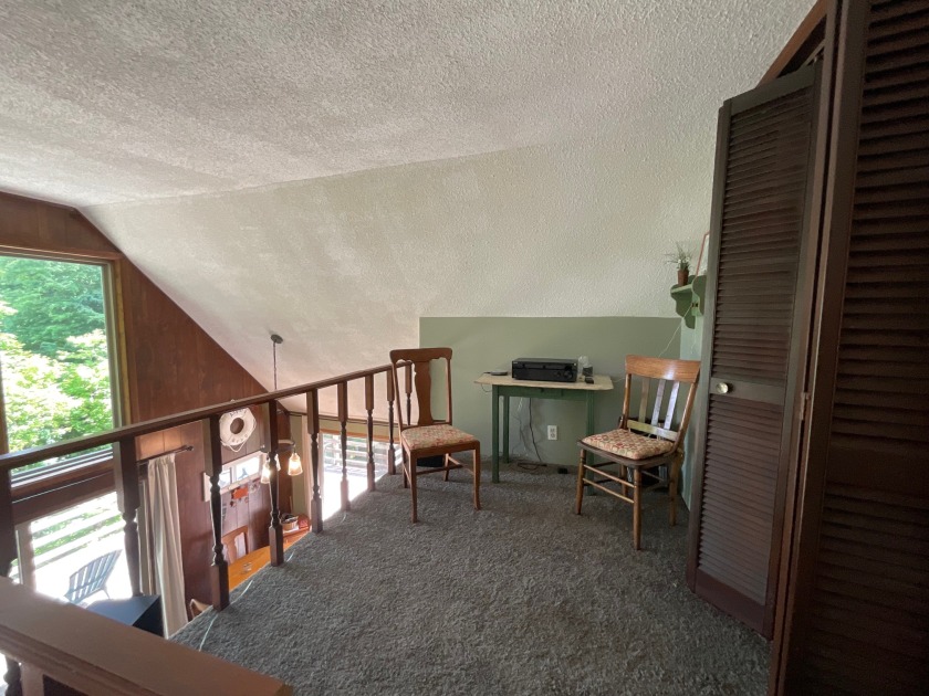 Raccoon Lake, Lakefront, Lakeview, Chalet - photo 23