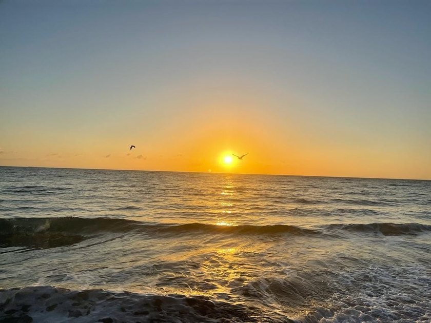 Lowest price ocean view with separate balcony in the building! - photo 20
