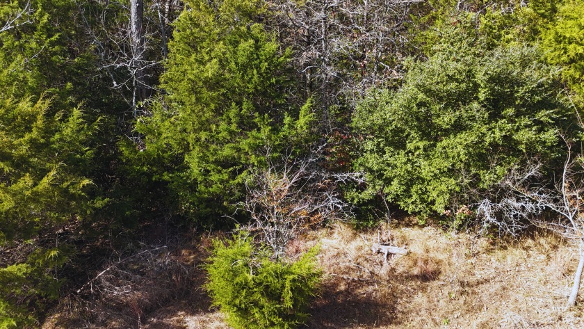 Lot 131 Lincoln Drive - photo 10