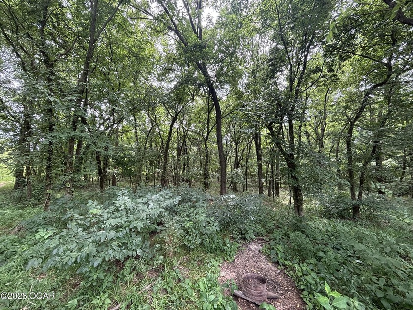 20 Acres at Shoal Creek and Spring River confluence - photo 12