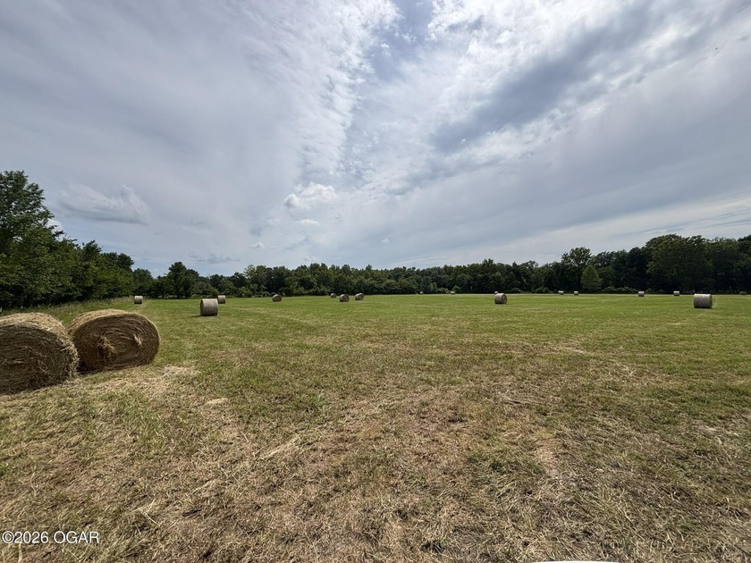 20 Acres at Shoal Creek and Spring River confluence - photo 13