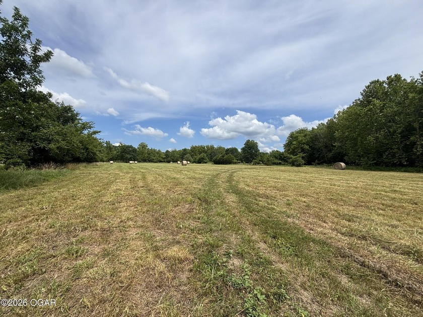 20 Acres at Shoal Creek and Spring River confluence - photo 14