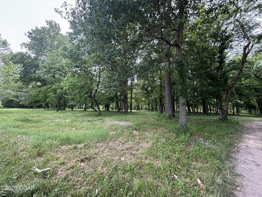 20 Acres at Shoal Creek and Spring River confluence - photo 15