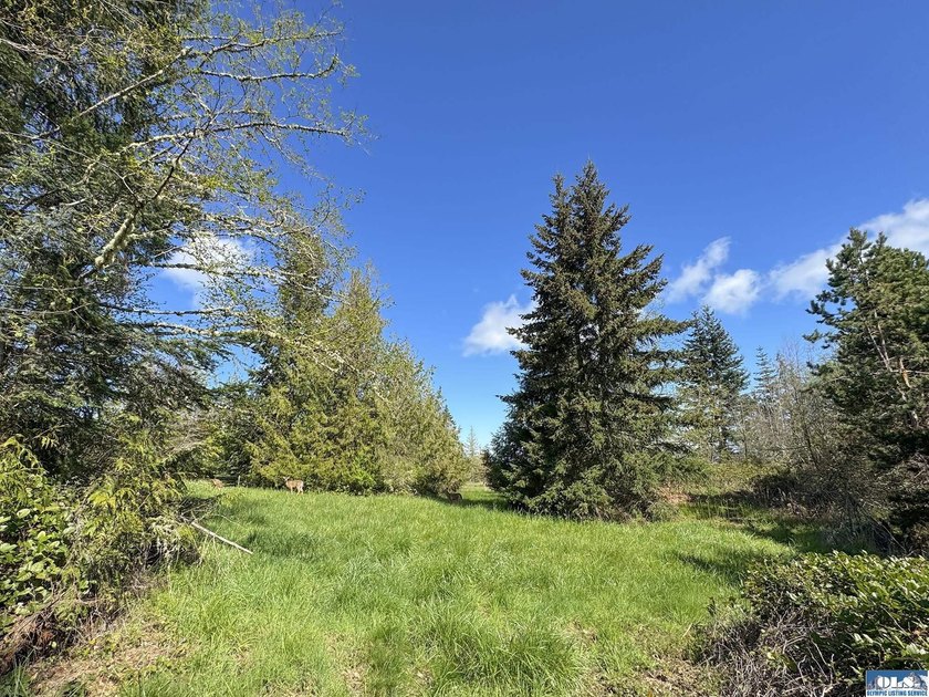 Water &amp; Mt View Lot on Bell Hill For $160K! Enjoy this easy to - photo 21