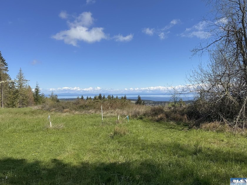 Water &amp; Mt View Lot on Bell Hill For $160K! Enjoy this easy to - photo 24