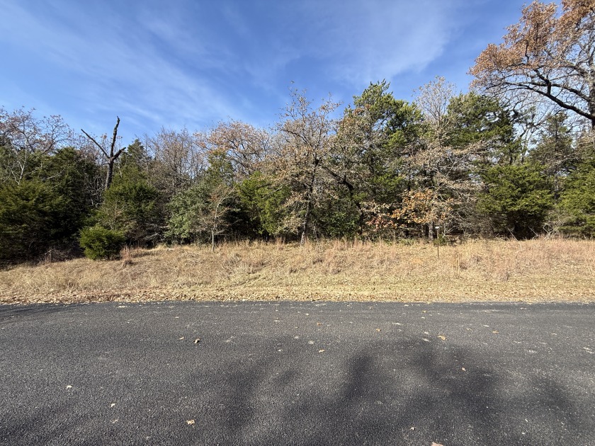 Lot 131 Lincoln Drive - photo 7