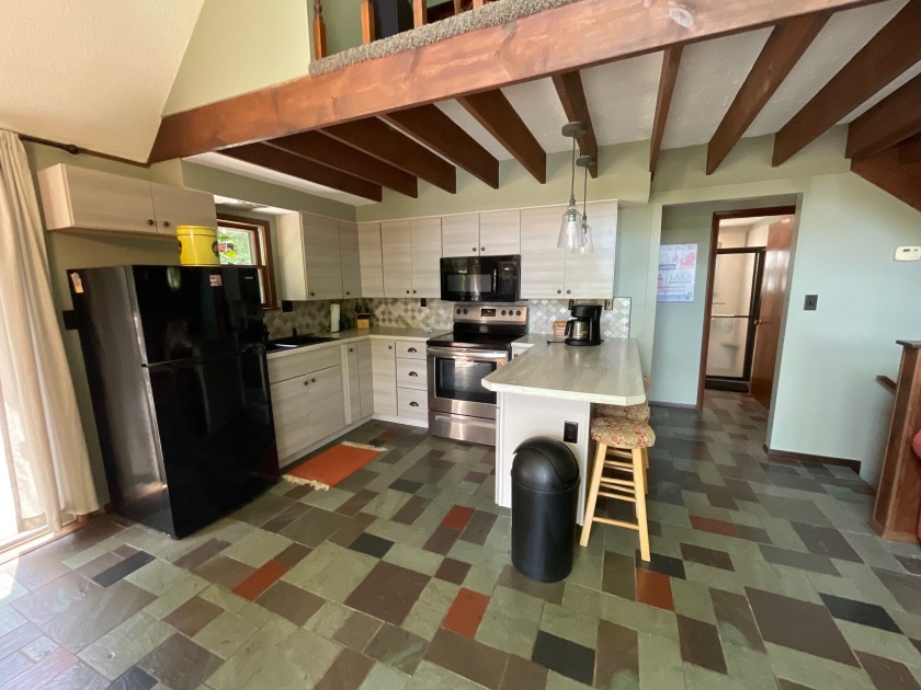 Raccoon Lake, Lakefront, Lakeview, Chalet - photo 14