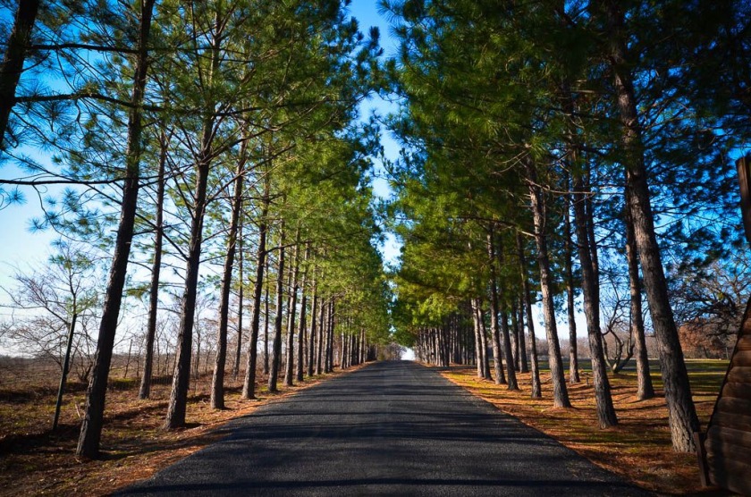 Lot 131 Lincoln Drive - photo 3