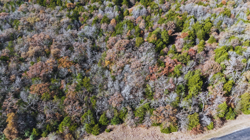 Lot 131 Lincoln Drive - photo 14