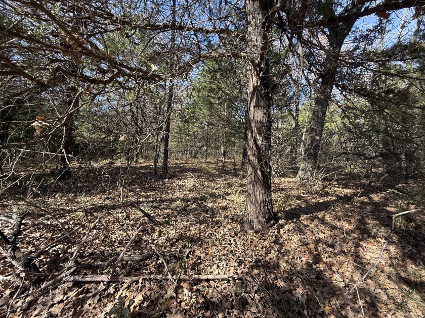 Lot 131 Lincoln Drive - photo 8