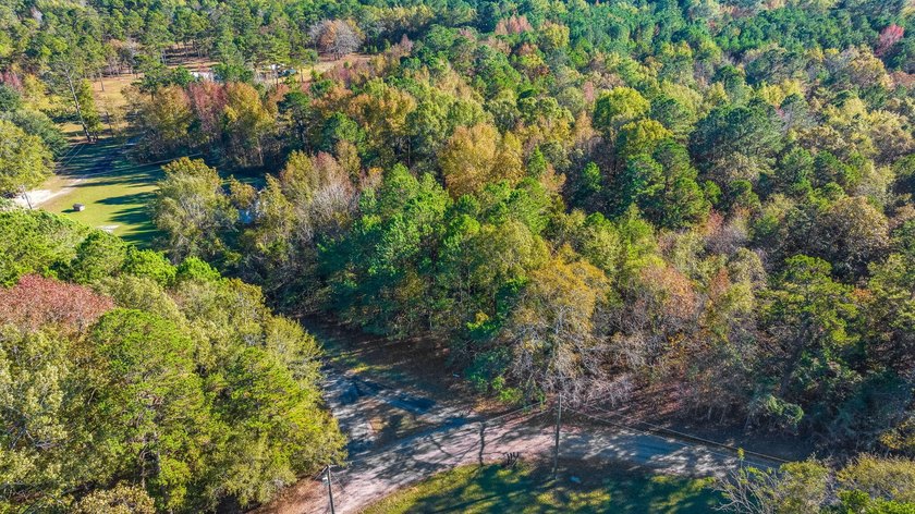 Spacious wooded lot tucked away in a quiet, peaceful setting - photo 11
