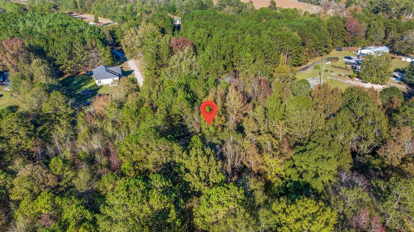 Spacious wooded lot tucked away in a quiet, peaceful setting - photo 12