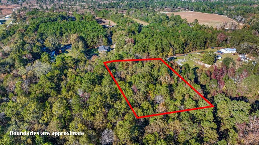 Spacious wooded lot tucked away in a quiet, peaceful setting - photo 13